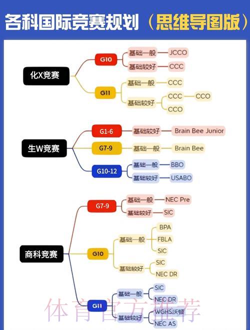 世界杯赛事数据深度解析与研究方法探讨